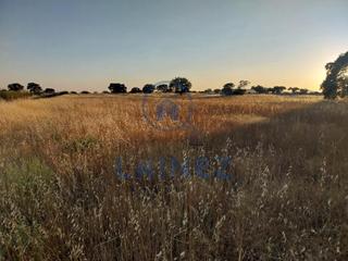 Rural plot in Valsequillo