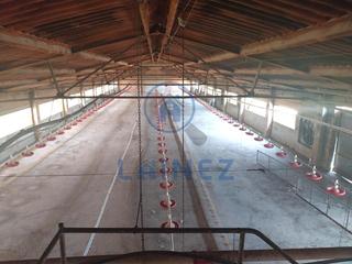 Landgut in Fuente Obejuna