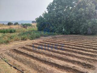 Terreno residenziale in Villanueva del Rey