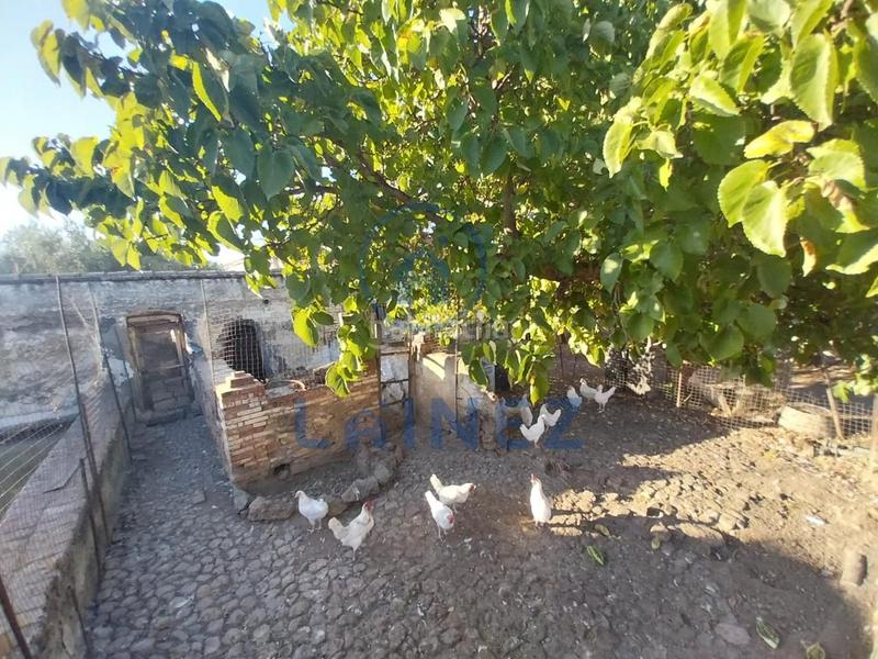 Foto 1279dc80-8e5c-4c61-8f1a-2f7b7b3b620b. Terreno residencial en Belmez