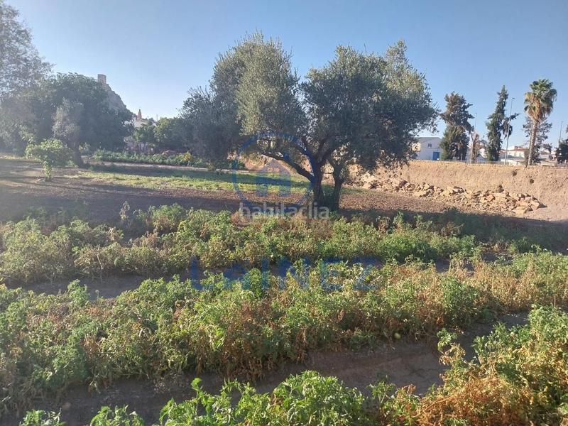 Foto a26179d8-18e7-4ae4-93cf-a57ca8b6111c. Terreno residencial en Belmez