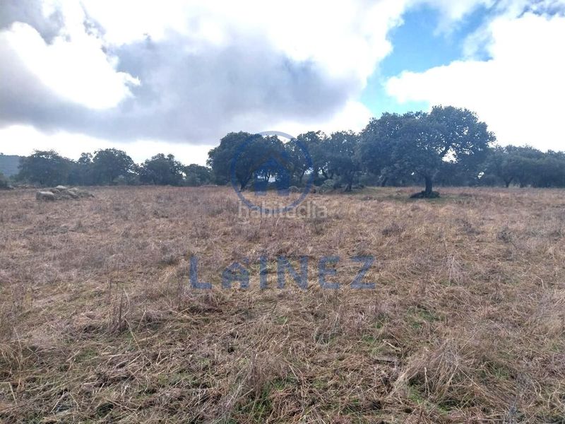 Foto 7c0e1eef-39ce-43a7-bd47-c40d077d05c7. Finca rústica a Belmez