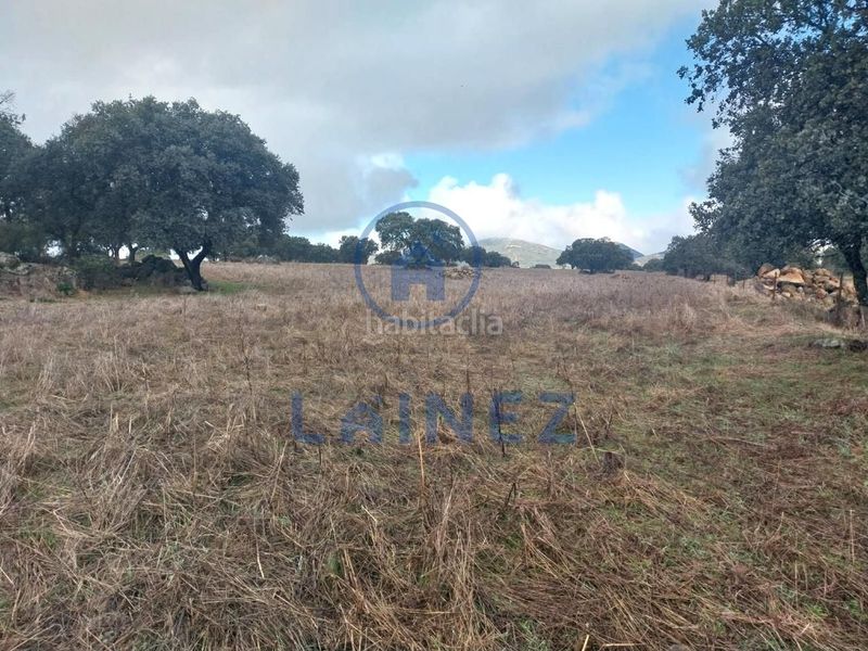 Foto b7085f0d-baa0-445c-b57d-98cf6967f1e4. Finca rústica a Belmez