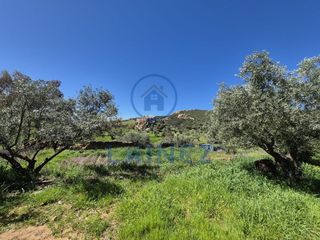 Fondo rustico in Peñarroya - Pueblonuevo