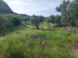 Wohngrundstück in Peñarroya - Pueblonuevo