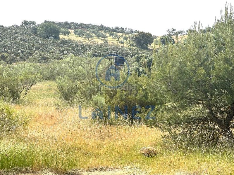 Foto bfe49dda-d5e3-4e6e-9832-6ce6345481d9. Finca rústica a Belmez