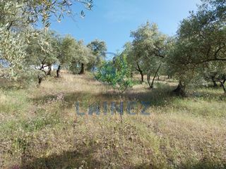 Fondo rustico in El Brillante -El Naranjo - El Tablero