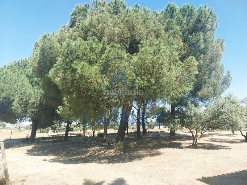 Foto 1f8ed649-4512-445f-9ced-5b83e44ab900. Finca rústica a Fuente Obejuna