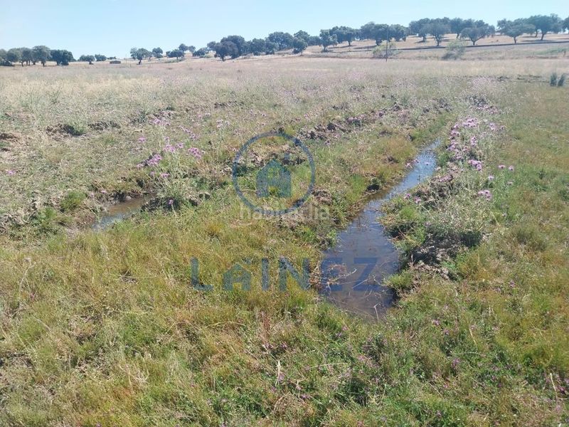 Foto 454d775b-4cbf-4fe9-931b-0ad2d18e1109. Finca rústica a Fuente Obejuna