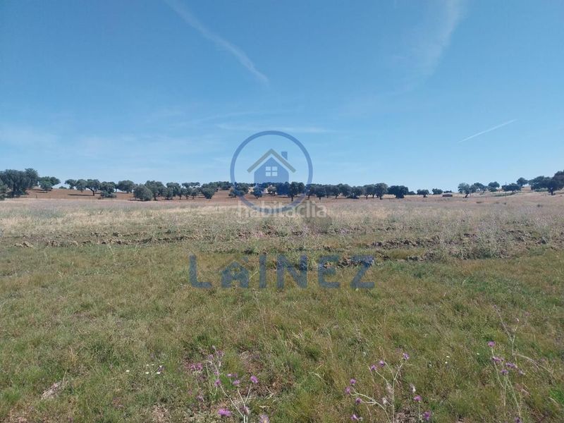 Foto 460a5e22-7281-4b29-ae4a-7afd985f86fb. Finca rústica a Fuente Obejuna