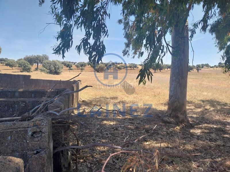 Foto 4e826992-c342-4f0b-a8b3-37da0920043c. Finca rústica a Fuente Obejuna
