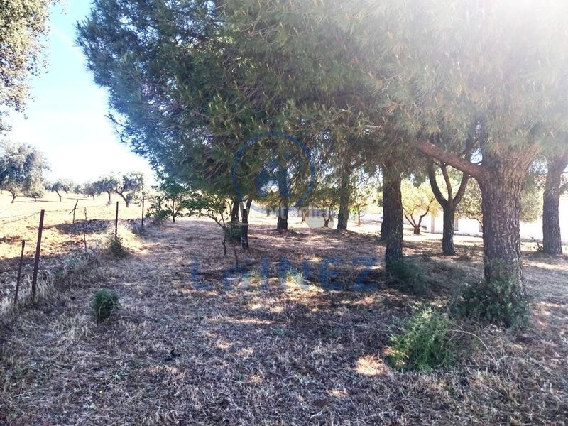 Foto a66b8c42-b43a-4370-8c75-35d05439cb47. Finca rústica a Fuente Obejuna