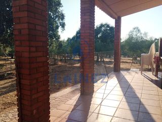 Residential Plot in Villanueva del Duque. Finca con casa y olivos
