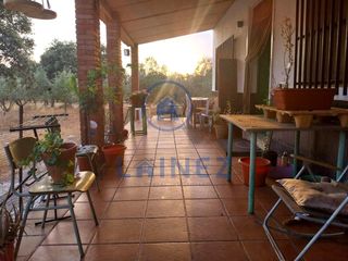 Terreno residenziale in Villanueva del Duque. Finca con casa y olivos