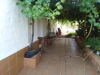 Terreny residencial a Villanueva del Rey. Excelente parcela con cortijo en el distrito de vva del rey con