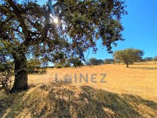 Terreny residencial a Fuente Obejuna. Finca rústica de labor con encinas en argallón, con muy buen acc