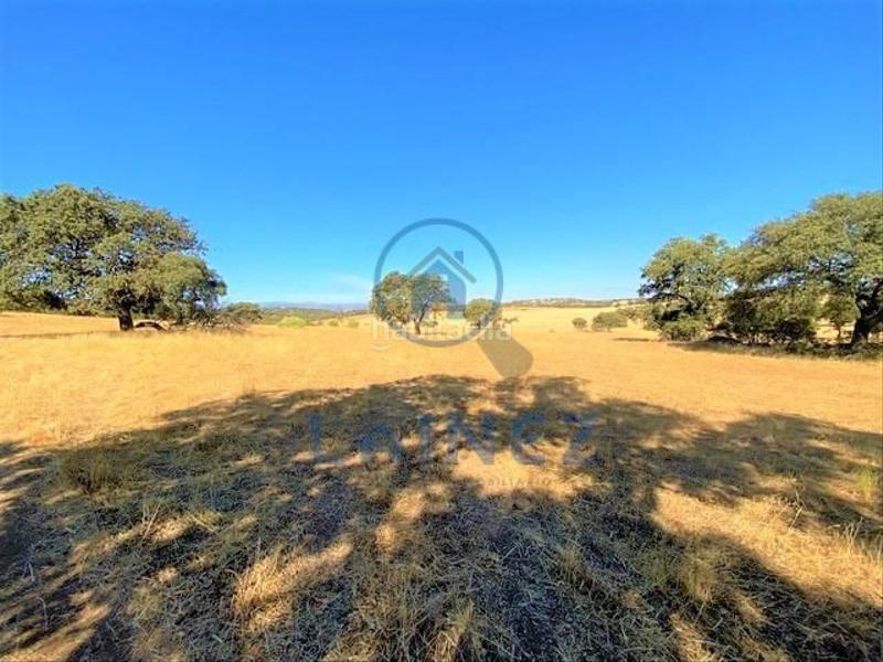 Foto 04829386-f082-4926-800d-8f53bbf110b7. Terreny residencial a Fuente Obejuna