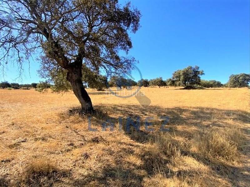 Foto bcc20588-f978-4172-9da9-468394893da3. Terreny residencial a Fuente Obejuna