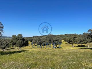 Terreny residencial a Espiel. Excelente finca ganadera de 270 hectáreas en venta en el municip