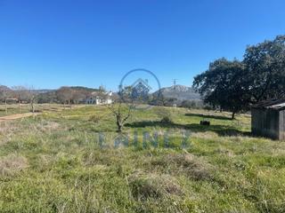 Finca rústica a Espiel. Finca de100 hectáreas de labor de encina y 100 hectáreas de mont