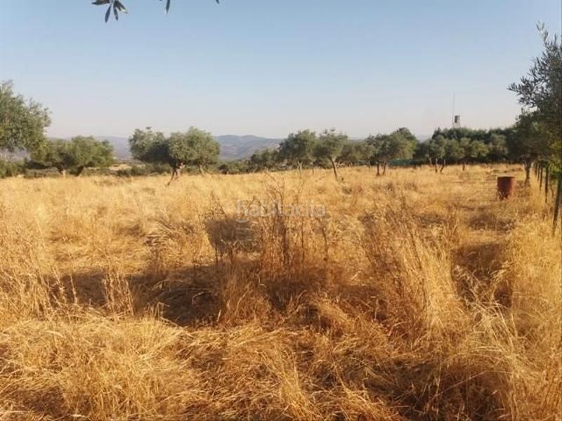 Foto 4a722004-041f-4045-af19-ebb8bbfad99b. Terreno residenziale in Fuente Obejuna