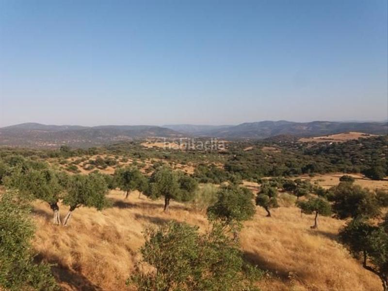 Foto 5e4b8c71-57c4-4385-a9e8-08896046df5c. Terreno residenziale in Fuente Obejuna