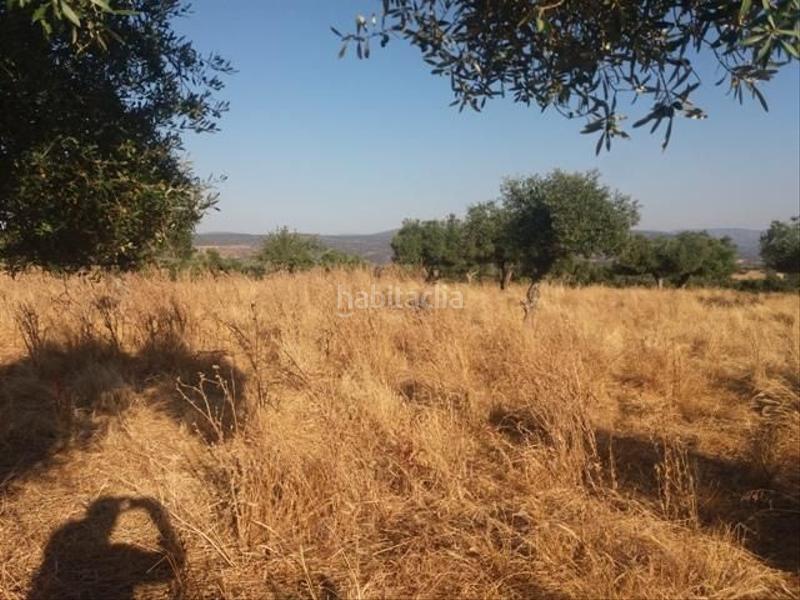 Foto 851ba8b4-332e-40f4-89cf-af98fb1b8177. Terreno residenziale in Fuente Obejuna