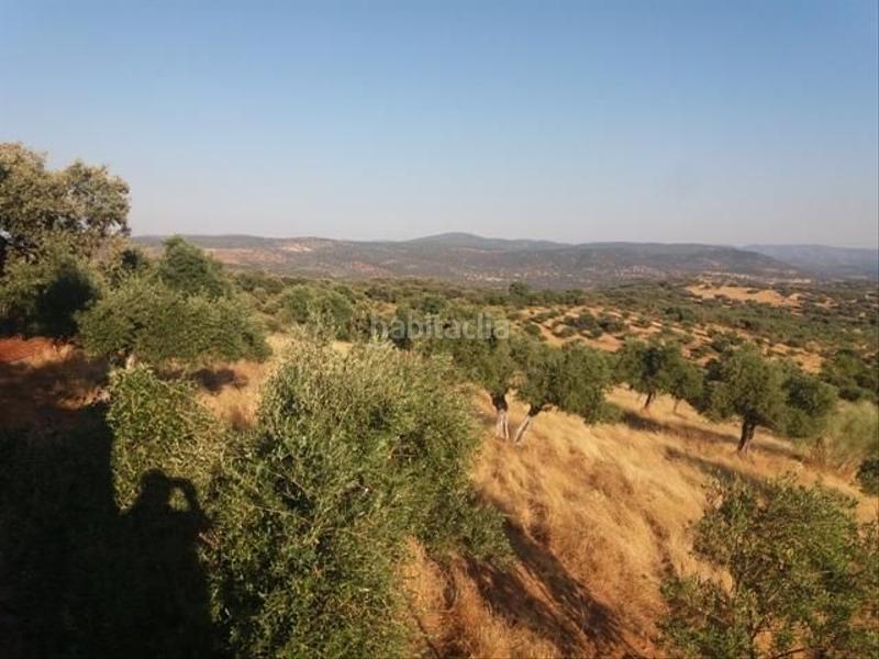 Foto bb405e9c-f443-4300-8661-b6801a680581. Terreno residenziale in Fuente Obejuna