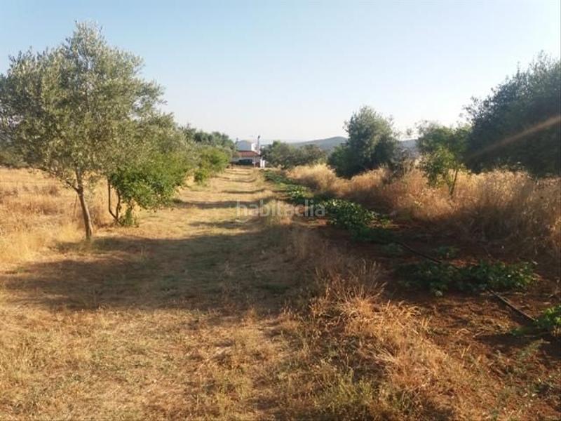 Foto d49f4dba-2944-4173-b128-1e03385c2660. Terreno residenziale in Fuente Obejuna