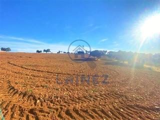 Terreny residencial a Fuente Obejuna