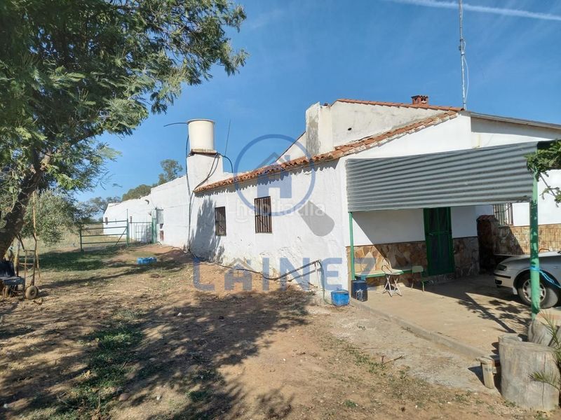 Foto 26faadea-8054-404b-9461-b1506386b040. Finca rústica en Peñarroya - Pueblonuevo