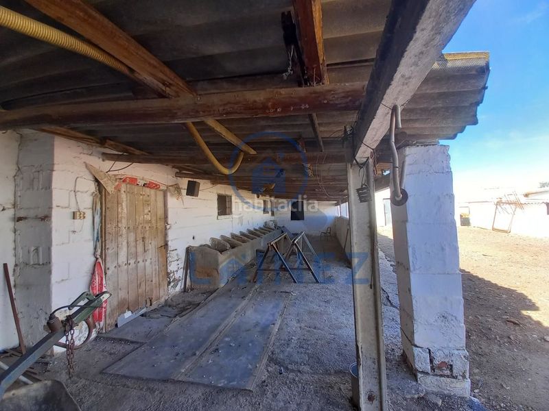 Foto 3c5fea31-d051-4737-8491-877aa70e3b46. Finca rústica en Peñarroya - Pueblonuevo