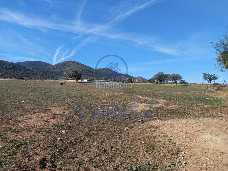 Foto 61f87b67-0134-469f-a51d-86ec89a50fb1. Finca rústica en Peñarroya - Pueblonuevo