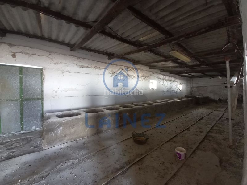 Foto 98e9767d-431f-474e-a44d-df2f9555fdc7. Finca rústica en Peñarroya - Pueblonuevo