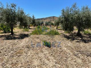 Residential Plot in Belmez