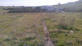 Terrain résidentiel à Belmez. Mejor parcela rústica de la zona situada en las pilillas de bélm