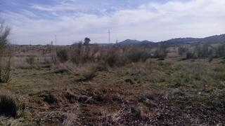 Terrain résidentiel à Belmez. Tres parcelas rústica situada en el entredicho próximo a (playa