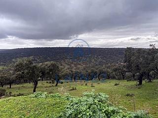 Terreny residencial a Fuente Obejuna. Gran finca de dehesa de labor en venta próxima al municipio de f