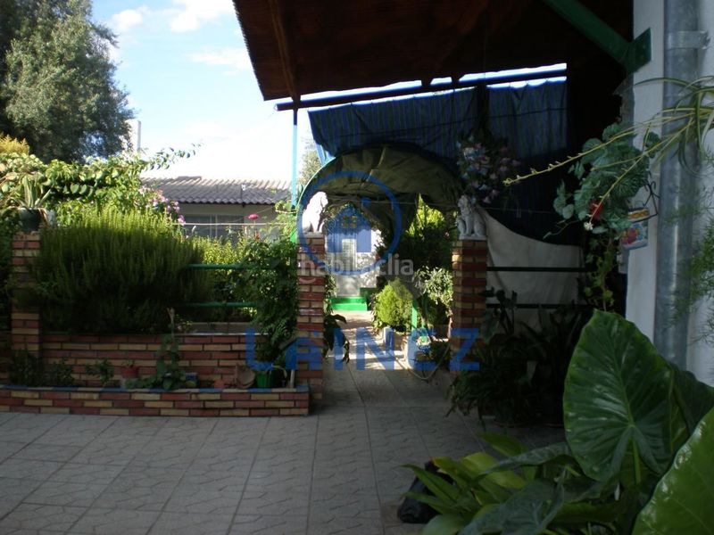 Foto 0ed8ab7e-f18f-4641-b33f-8c5668ebc2a3. Casa a Peñarroya - Pueblonuevo