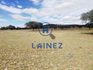 Terreny residencial a Granjuela (La). Finca de labor de dehesa y ganadera a la venta en el municipio d
