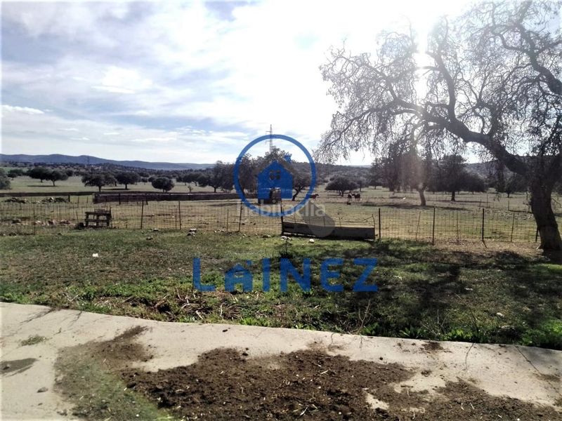 Foto 3f1ae9f9-7cee-479b-9a1c-5b66bbd56cc3. Terreny residencial a Granjuela (La)