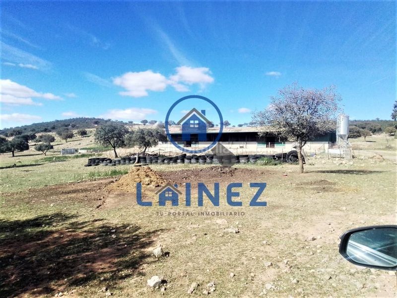 Foto a5d9f18f-fbcc-4c87-811a-a8606d88913a. Terreny residencial a Granjuela (La)
