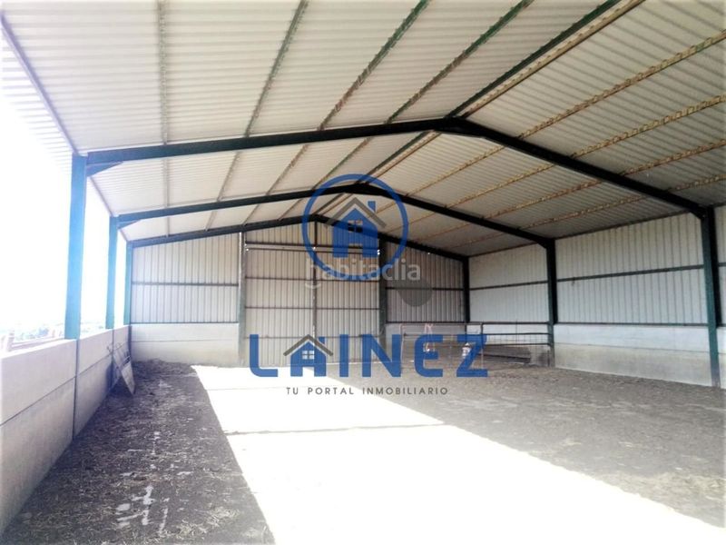Foto c3e4e352-5a7b-437b-a78b-fbb15c70ea6a. Terreny residencial a Granjuela (La)