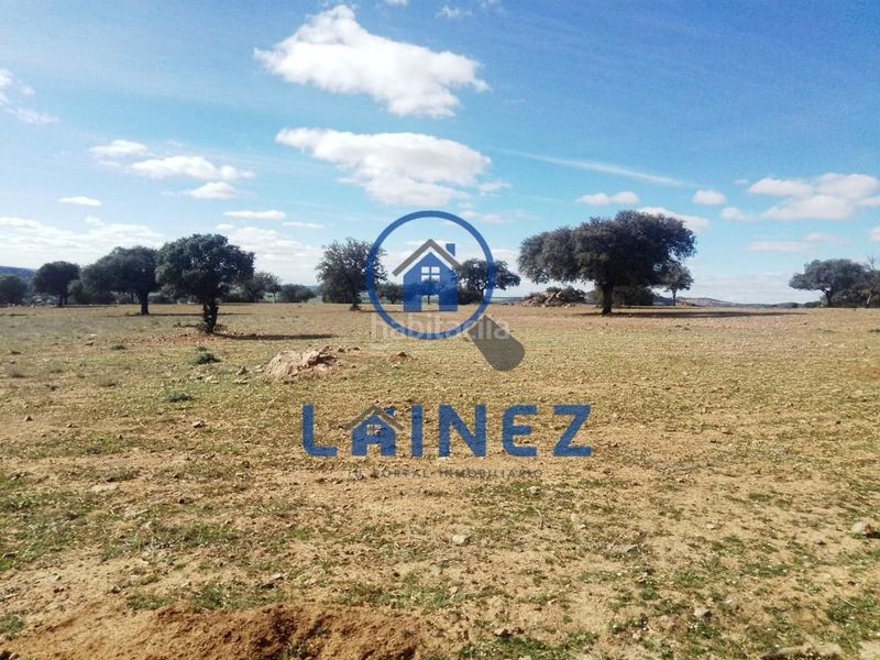 Foto cf5d8eb3-2ec0-4939-9856-479dd1d55e26. Terreny residencial a Granjuela (La)