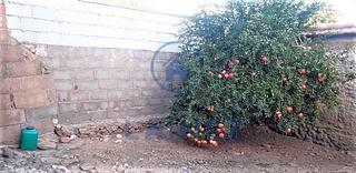 House in Fuente Obejuna