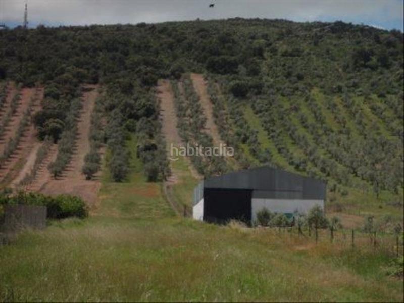 Foto af3fd560-ee50-4689-828d-7bcccdab6968. Terrain résidentiel dans Peraleda del Zaucejo