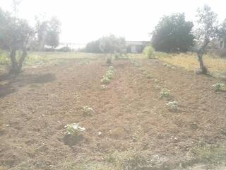 Terreny residencial a Peñarroya - Pueblonuevo. Parcela con casa
parcela con casa en el pantano con una superfi