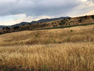 Terreny residencial a Peñarroya - Pueblonuevo. ¡oportunidad! parcela de labor en zona del pantano de pya-pueblo