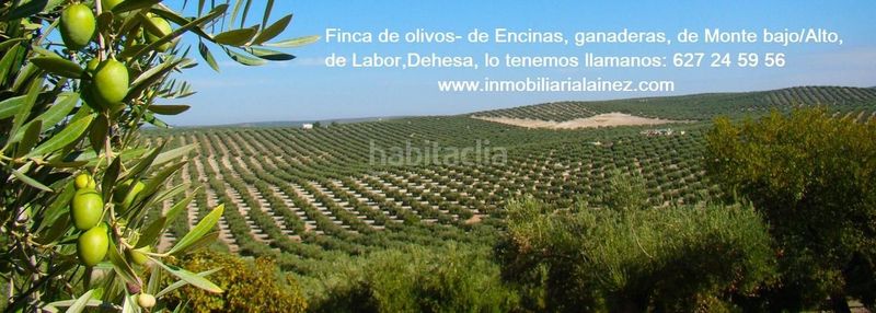 Foto 263380e3-5ad1-4816-bced-93491b274a30. Terreny residencial a Granjuela (La)