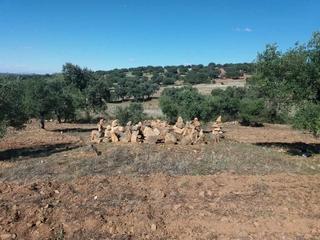 Terreny residencial a Fuente Obejuna. “oportunidad” finca de olivar y trozo de tierra de labor situada
